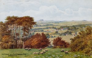 The Downs s Chanctonbury Ring, Nr Worthing od Alfred Robert Quinton