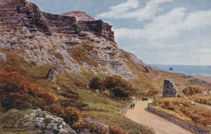 The Undercliff, Niton, I of Wight od Alfred Robert Quinton