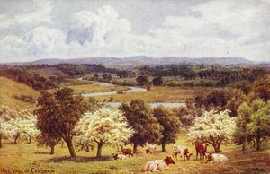 Údolí Evesham od Alfred Robert Quinton