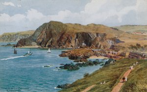 Pohled z Capstone, Ilfracombe od Alfred Robert Quinton