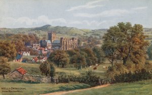 Katedrála ve Wellsu, z Milton Hill od Alfred Robert Quinton