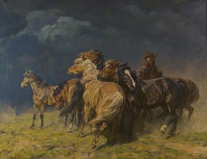 Koně ve vichřici od Alfred Roloff