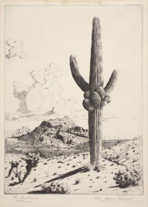 The Sentinel (Sahuaro) (lept a akvatinta) od Alfred Rudolph Waud