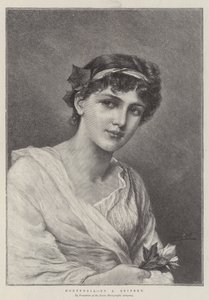 Hortensie