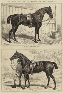 Horse Show v Agricultural Hall, Islington od Alfred Sheldon Williams