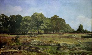Kaštanová alej v La Celle-Saint Cloud od Alfred Sisley