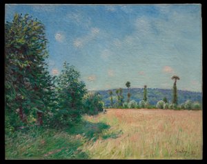 Louky v Sahurs v ranním slunci od Alfred Sisley