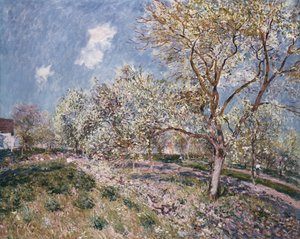 Jaro ve Veneux, 1880 od Alfred Sisley