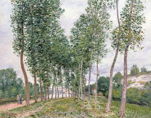 Avenue of Topols podél Banks of the Loing od Alfred Sisley