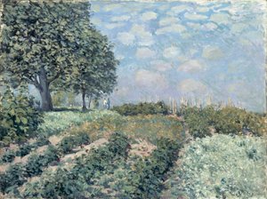 Market Gardens od Alfred Sisley