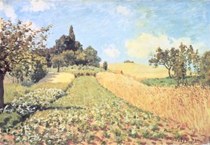 Pšeničné pole (olej na plátně) od Alfred Sisley