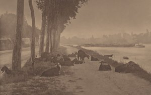  od Alfred Stieglitz