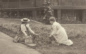 Květinový záhon v Oaklawnu od Alfred Stieglitz