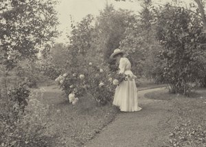 V Oaklawnu od Alfred Stieglitz