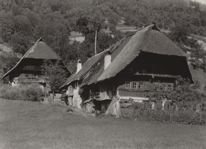  od Alfred Stieglitz