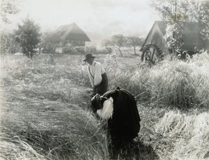 Brzy ráno od Alfred Stieglitz