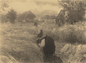 Časné ráno od Alfred Stieglitz