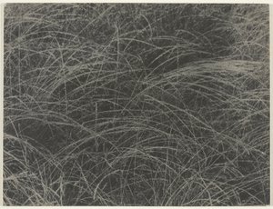 Ekvivalent od Alfred Stieglitz