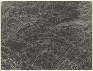 Ekvivalent, 1927. od Alfred Stieglitz