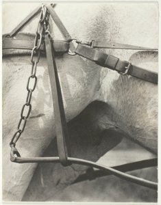 Ekvivalent, Duchovní Amerika od Alfred Stieglitz