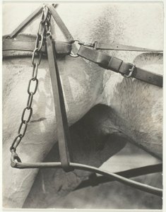 Ekvivalent, Duchovní Amerika, 1923. od Alfred Stieglitz