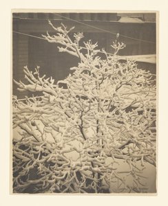 Z zadního okna domu č. 291 od Alfred Stieglitz