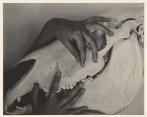  od Alfred Stieglitz