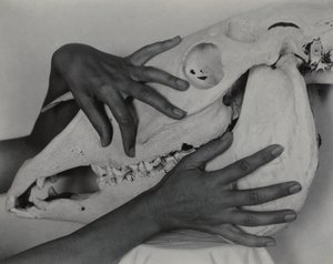  od Alfred Stieglitz