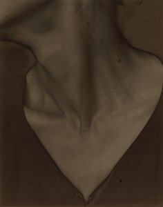 Georgia O’Keeffe – Krk od Alfred Stieglitz
