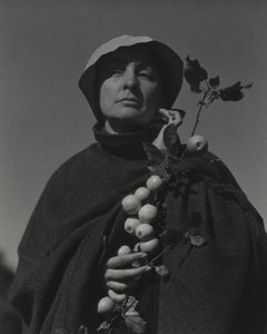  od Alfred Stieglitz