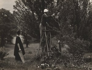  od Alfred Stieglitz