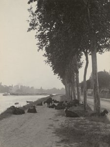  od Alfred Stieglitz