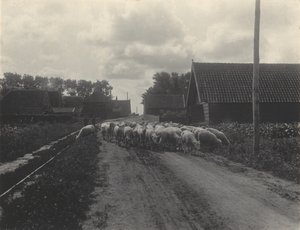  od Alfred Stieglitz