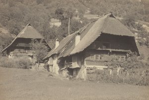 Domy v Gutachu od Alfred Stieglitz