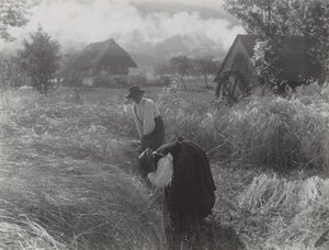  od Alfred Stieglitz