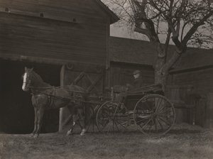 Kůň a kočár od Alfred Stieglitz