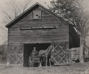  od Alfred Stieglitz