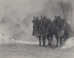 Koně, New York od Alfred Stieglitz