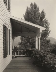 Dům, listy a strom od Alfred Stieglitz