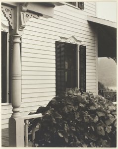 Dům a vinné listy od Alfred Stieglitz