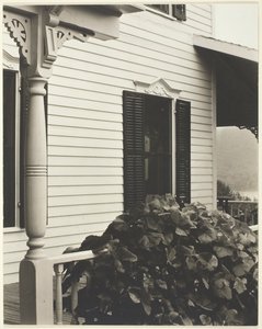 Dům a hroznové listy, 1934. od Alfred Stieglitz