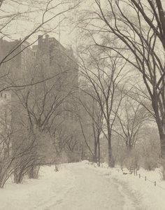 V parku od Alfred Stieglitz