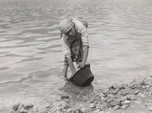  od Alfred Stieglitz