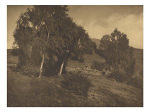 [Krajina, Tyrolsko] od Alfred Stieglitz