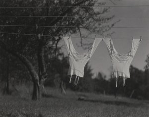  od Alfred Stieglitz