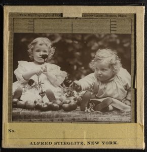 Neteře - Flora drží květinu a Hedvika od Alfred Stieglitz