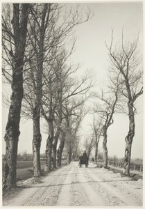 Listopadové dny od Alfred Stieglitz