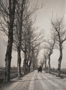 Listopadové dny od Alfred Stieglitz