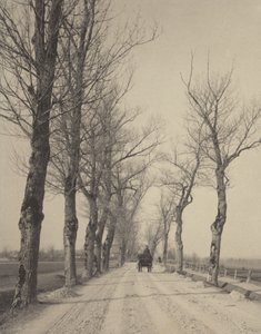  od Alfred Stieglitz