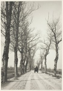 Listopadové dny, 1887, vytištěno 192039. od Alfred Stieglitz